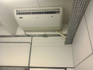 -IMG11038
