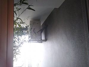 IMG10994